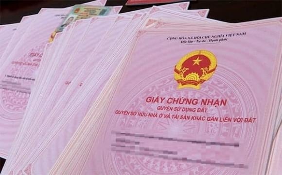 Việc xác định các thành viên để ghi tên trên sổ đỏ do các thành viên tự thỏa thuận và chịu trách nhiệm trước pháp luật.